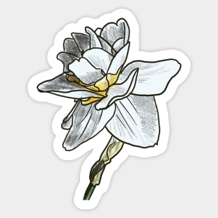 Daffodil 2 Sticker